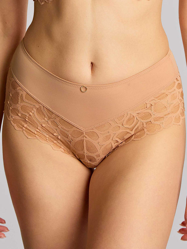 Panache Allure Deep Brief – High-Waist-Spitzen-Slip (Honey)