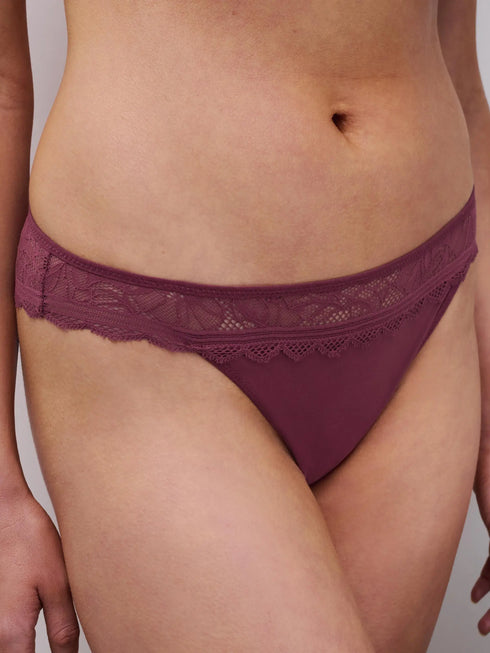 Chantelle Floral Touch Sienne Tanga